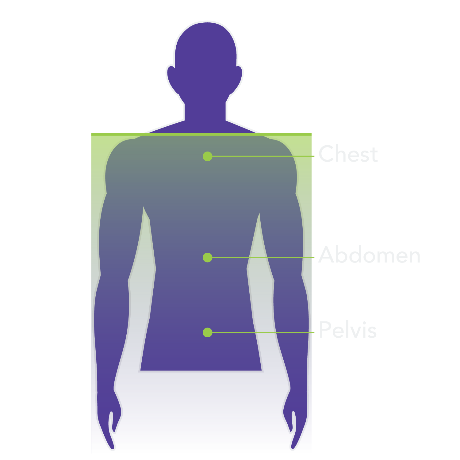 Whole Body Diagnostic MRI