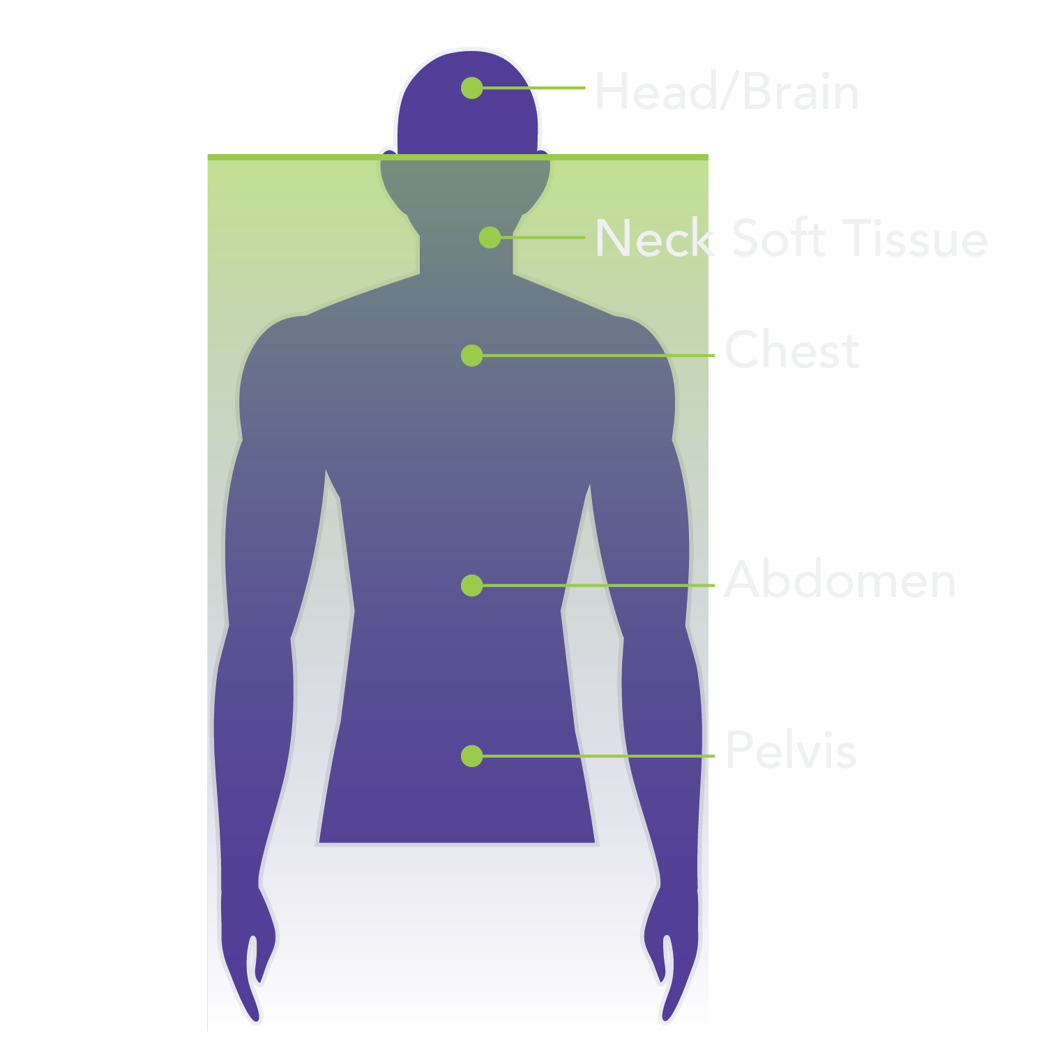 Whole Body Diagnostic MRI